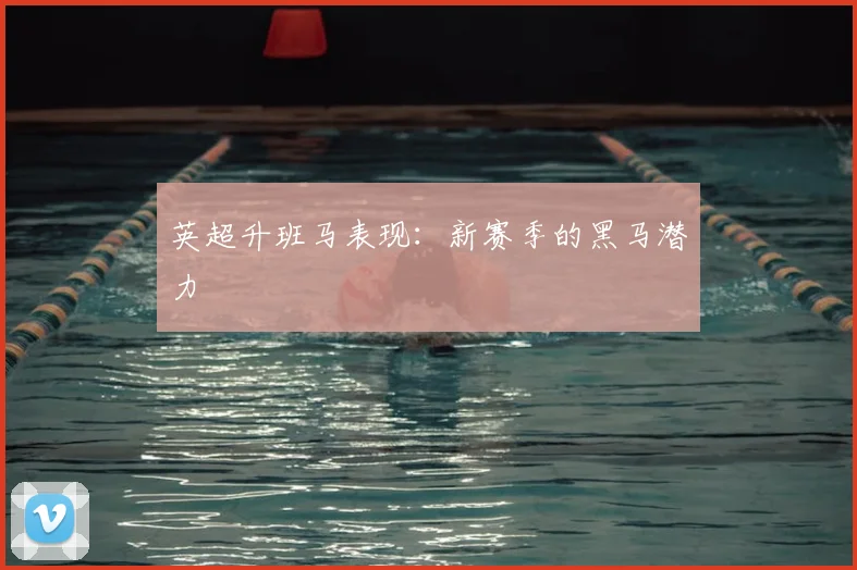 英超升班马表现：新赛季的黑马潜力